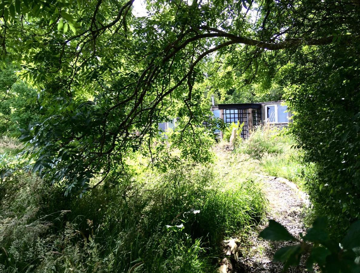 Field Hut Wadebridge Exterior foto